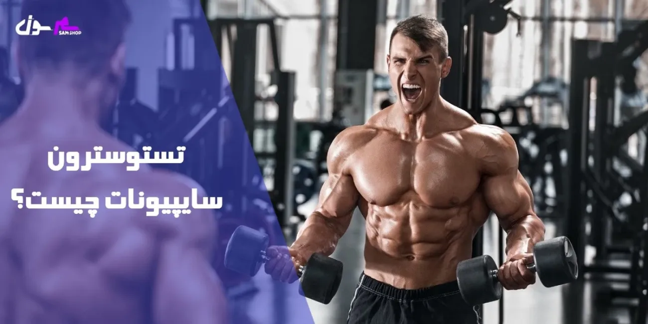 همه چی درباره تستوسترون سایپیونات