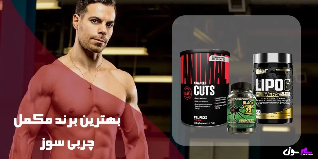 بهترین برند مکمل چربی سوز خارجی