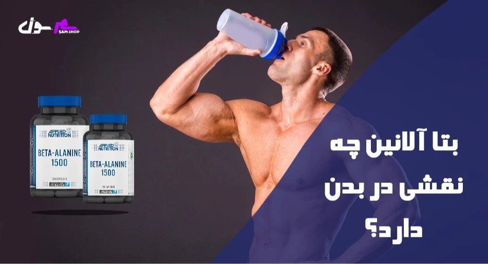 بتا آلانین چه نقشی در بدن دارد؟