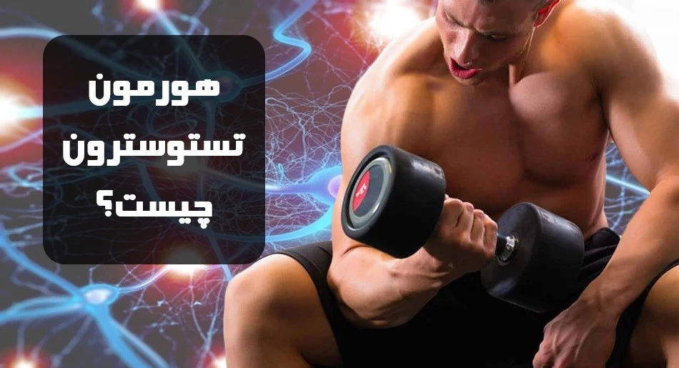 هورمون تستوسترون چیست؟