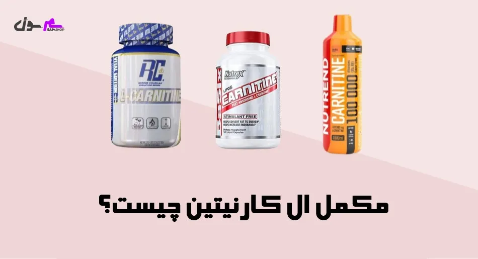 مکمل ال کارنیتین چیست؟