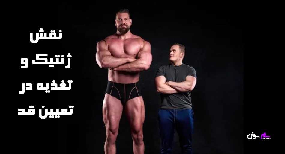 نقش ژنتیک و تغذیه در تعیین قد