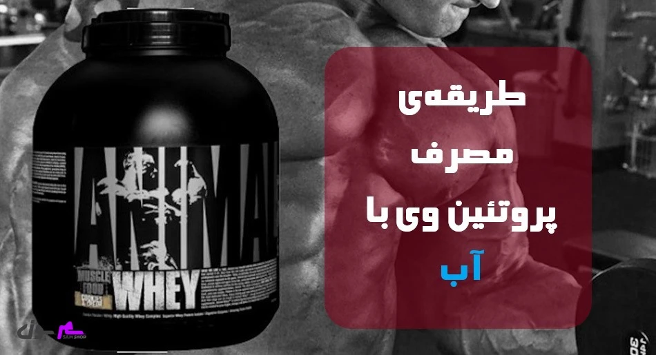 طریقهی مصرف پروتئین وی با آب